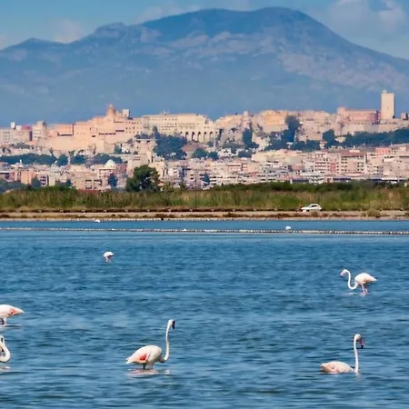 Poetto Parkside Apartment
